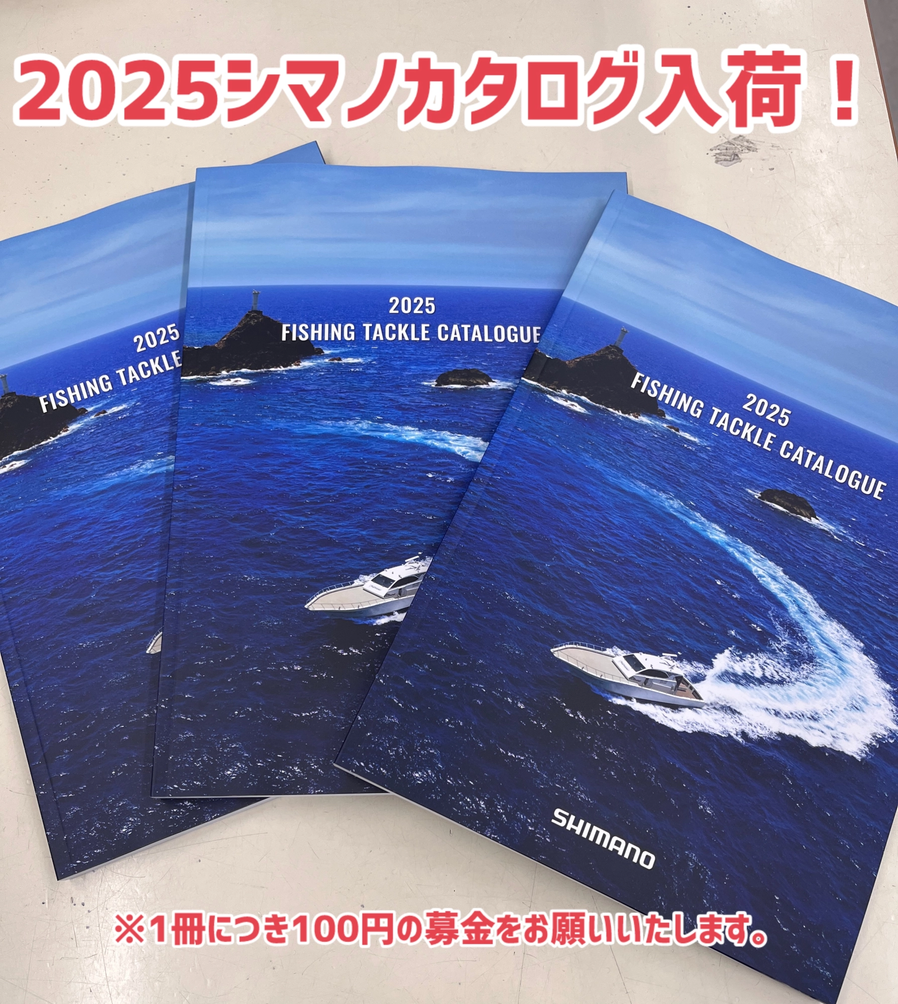 SHIMANO フィッシングタックルカタログ 2009-2025年 2022欠落 【公式通販】